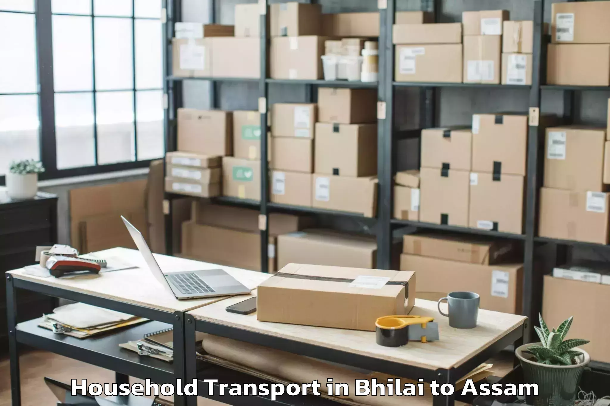 Reliable Bhilai to Baganpara Pt Household Transport